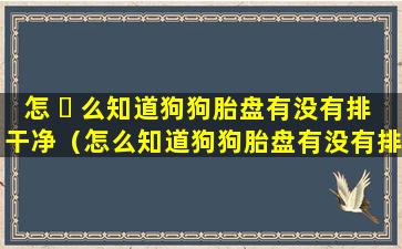 怎 ☘ 么知道狗狗胎盘有没有排干净（怎么知道狗狗胎盘有没有排干净 🐠 狗狗）